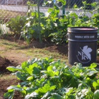 Evangelion Nerv Bucket in Garden