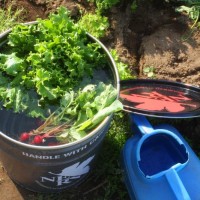 Evangelion Nerv Bucket in Garden